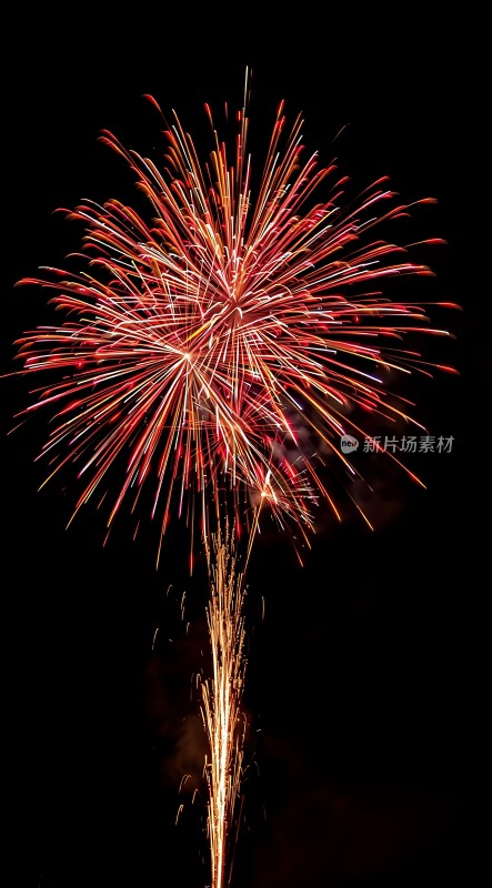 夜空烟花绽放色彩斑斓璀璨夺目