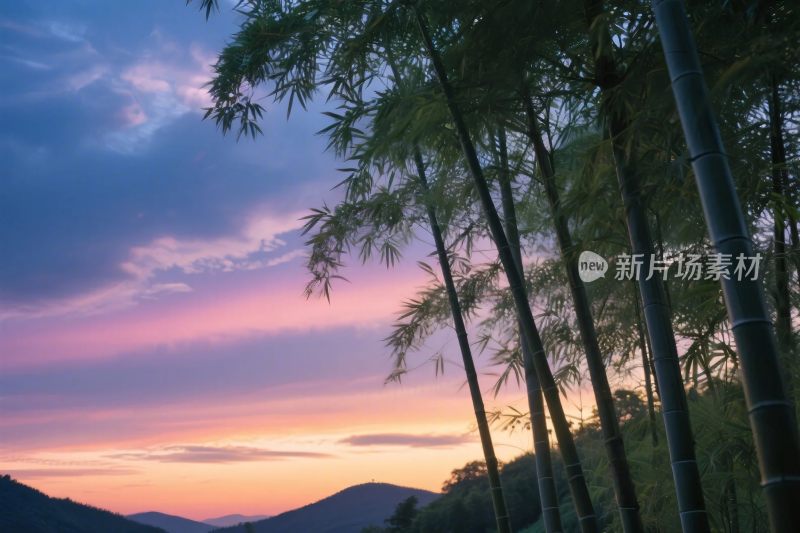 竹林山水风景插画