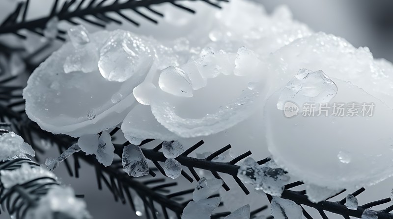 冰封枝头晶莹剔透