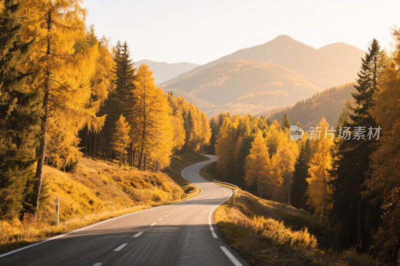 秋日山林间的蜿蜒公路