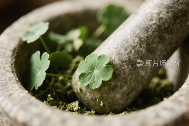石质研钵与药草特写