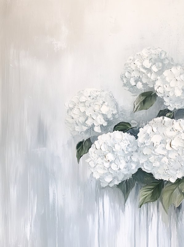 白色绣球花插画