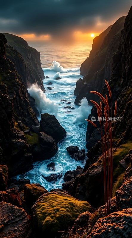 阳光下的海浪与岩石