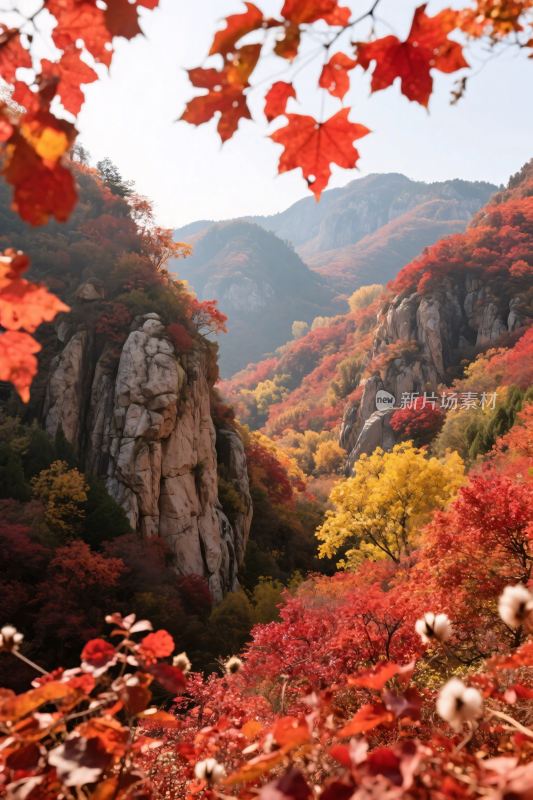 秋日山间红叶美景