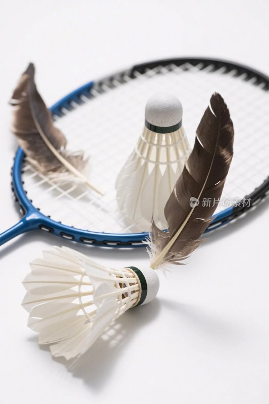 羽毛球器材展示图