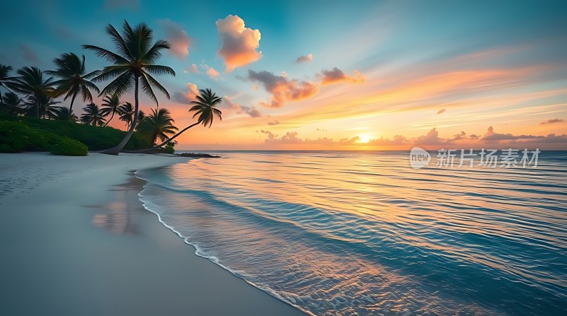 椰林晚霞映碧波