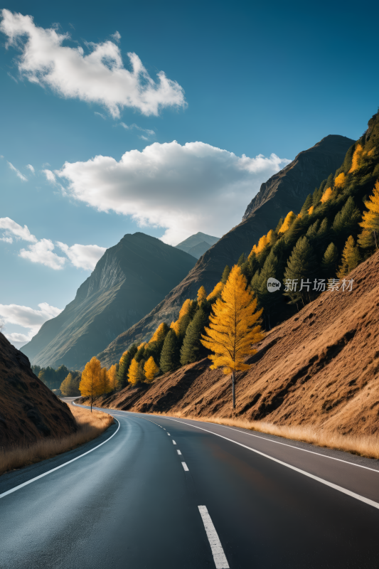 一条长长的路穿过山谷两边都是树木风景图片