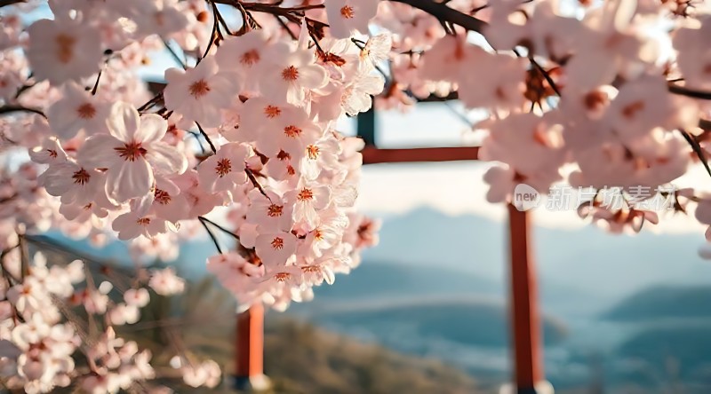 春日樱花烂漫美景如画