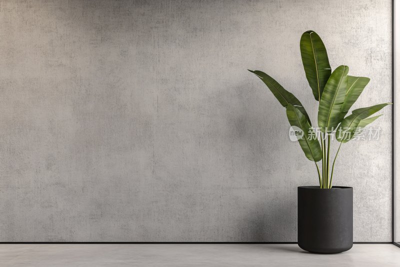 简约室内绿植盆栽