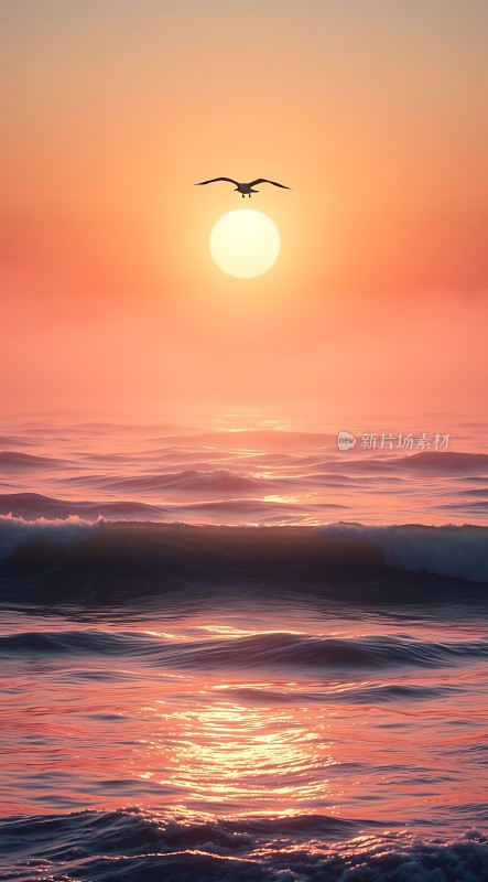 海鸥翱翔日落时分的海洋