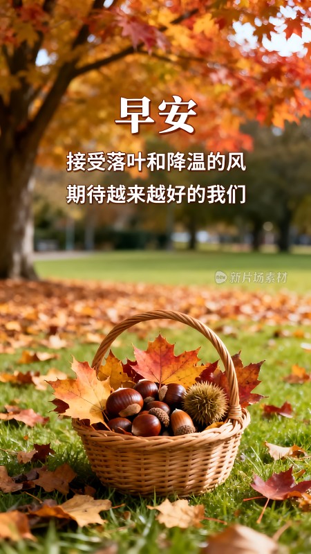 秋日暖阳下的温馨早晨