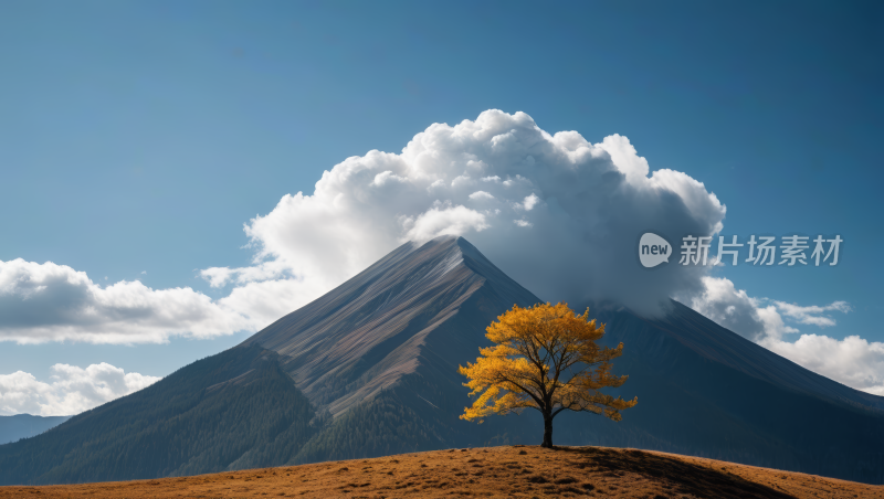 山上的一棵树高清风景图片