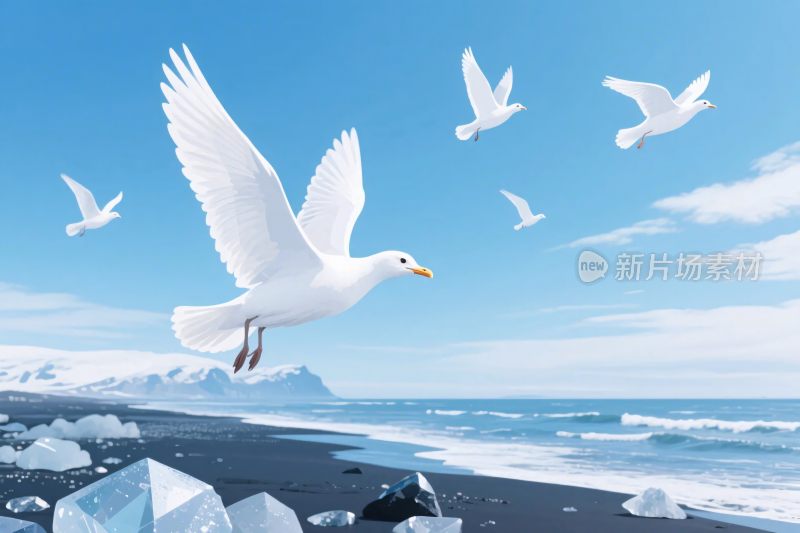 海边海鸥飞翔风景