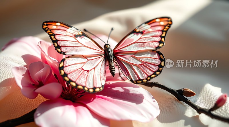 粉蝶轻舞花间影