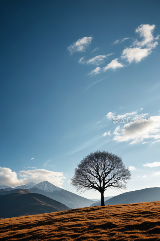 山上一棵孤树一座高山清风景图片