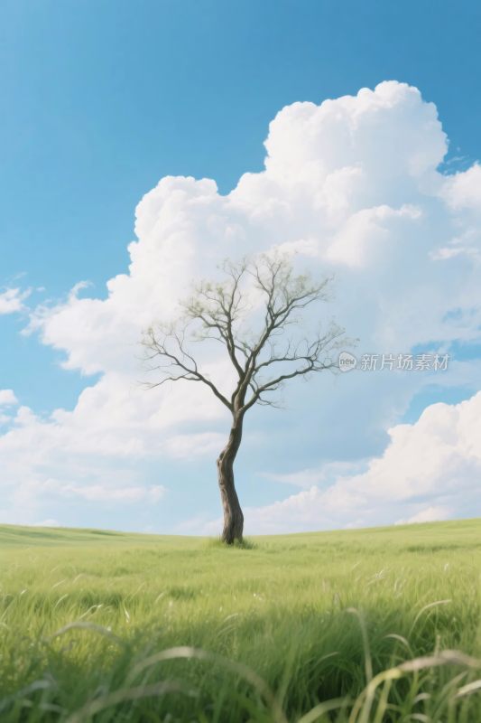 草地孤树与蓝天白云