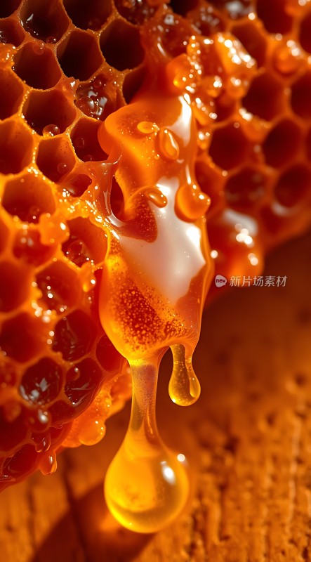 蜜汁流淌的蜂巢