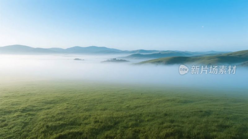 草原雾气风景图