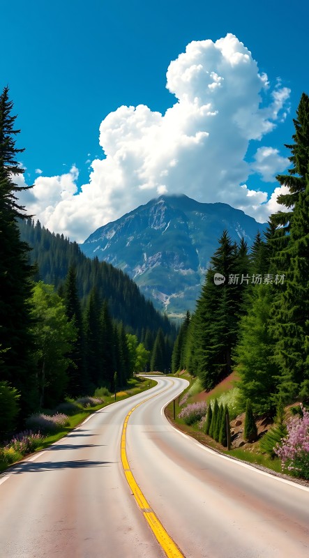 林间公路蜿蜒通向远山