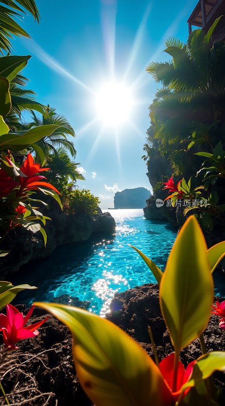 阳光下的热带风情