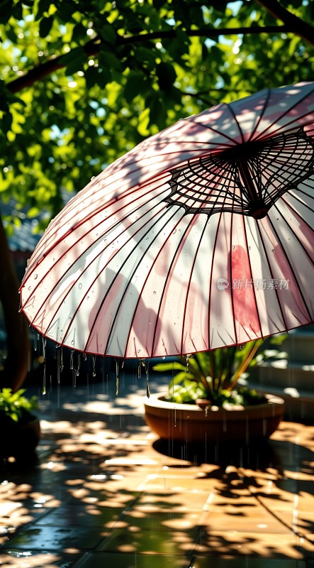 雨中油纸伞下的宁静时光