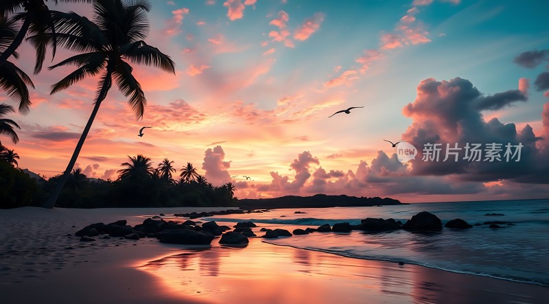 椰林晚霞映碧波