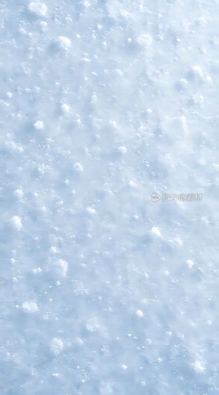 雪景中的宁静之美