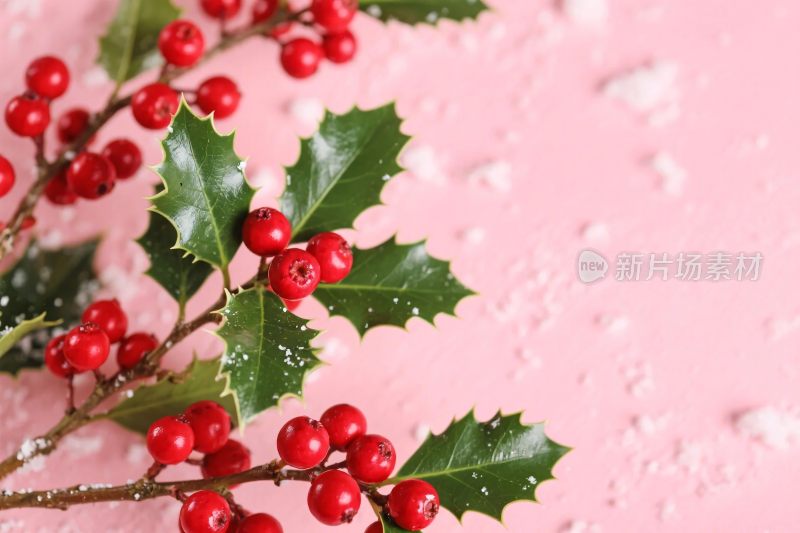 冬青浆果圣诞装饰