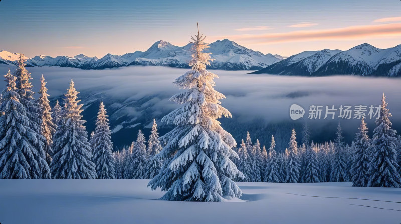 冬天雪景树木房屋被雪覆盖远景雪山日出壁纸