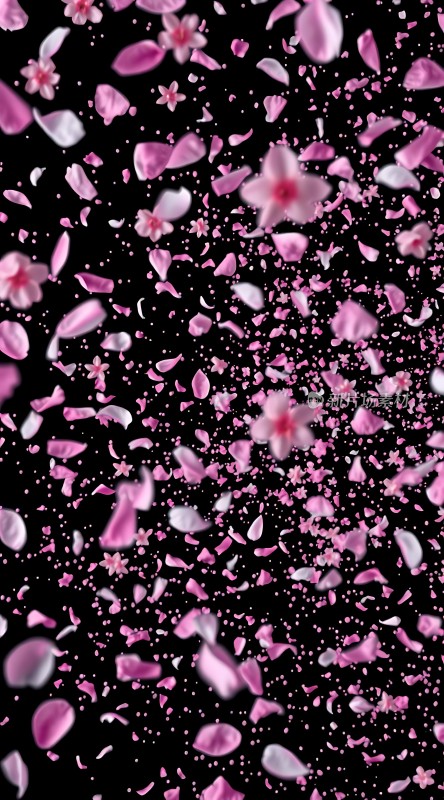 粉色花瓣飘落夜空