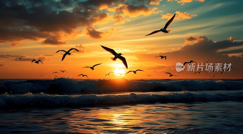 海鸥翱翔日落时分的海洋