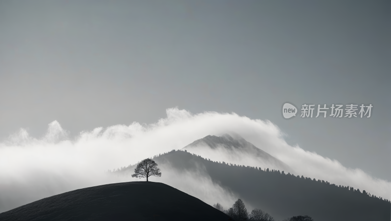 雾山山上的一棵孤树高清风景图片