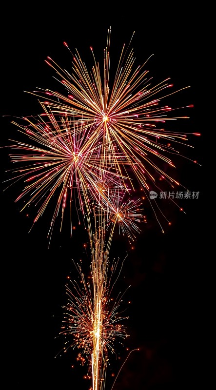 夜空烟花绽放色彩斑斓璀璨夺目