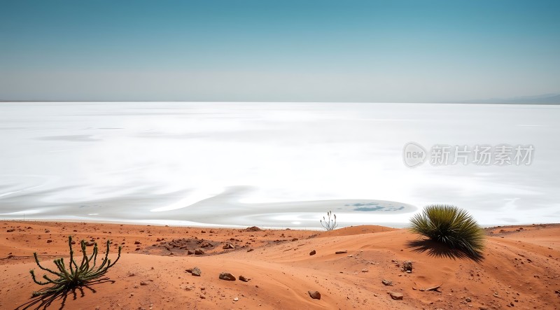 冰封盐湖上的生命之歌