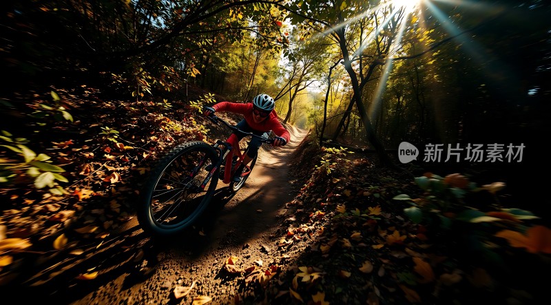 秋日骑行阳光下的冒险之旅