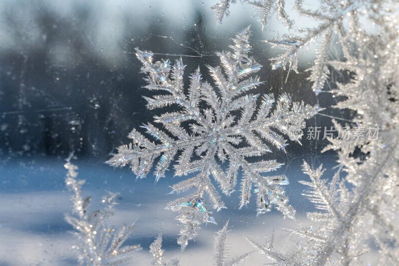 雪花冬日摄影画面