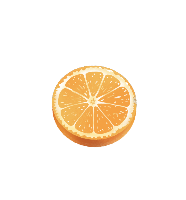 切开的橙子插画