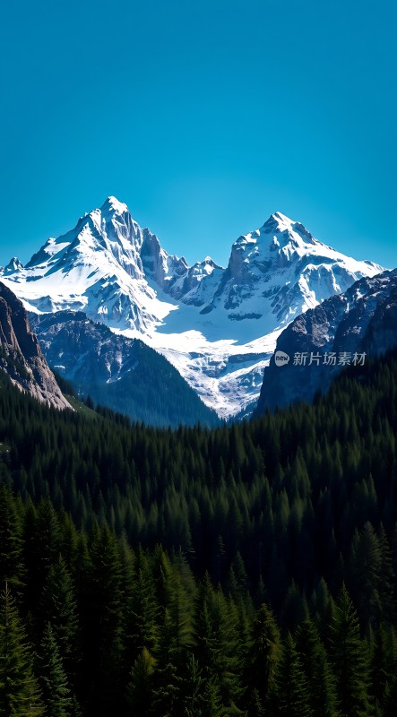 雪峰林海映蓝天