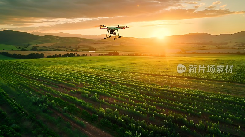 科技助力农业发展无人机巡田助丰收