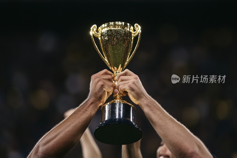 双手高举冠军奖杯瞬间