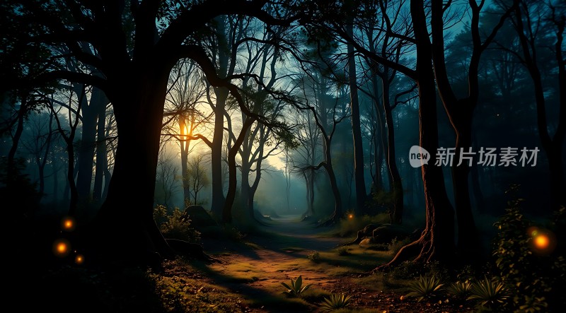 神秘森林光影之路