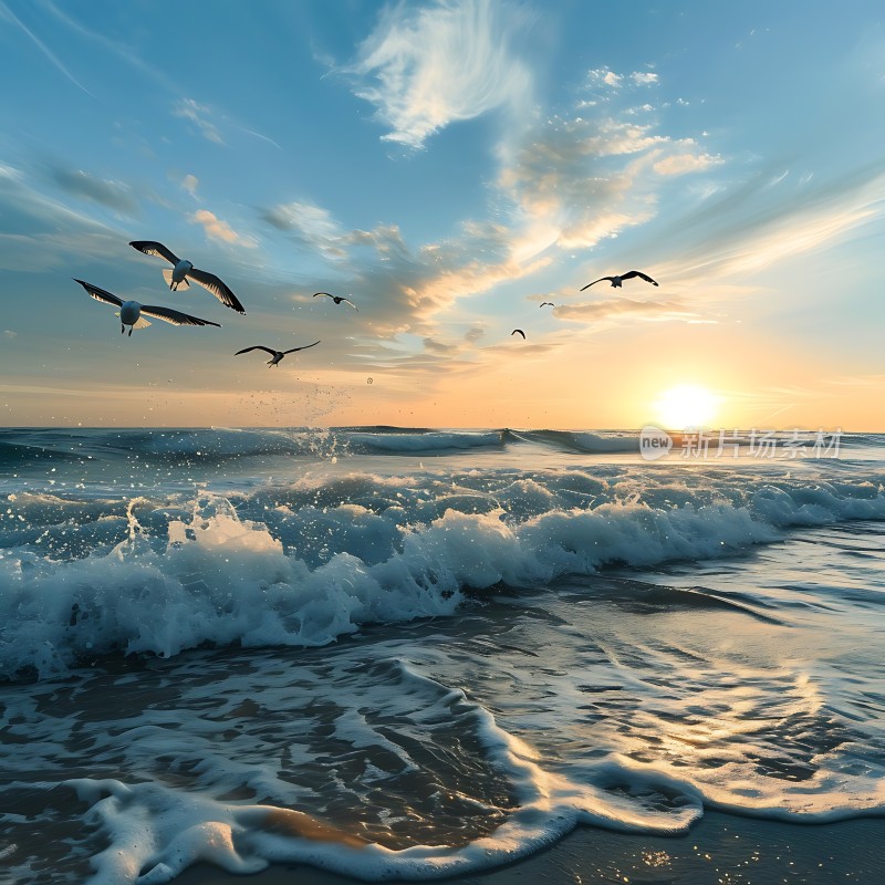 海鸥翱翔日落时分的海洋
