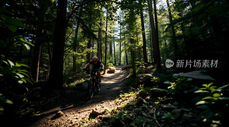 骑行者穿越森林小径