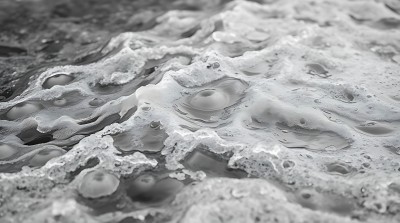 冰封世界气泡藏匿其中