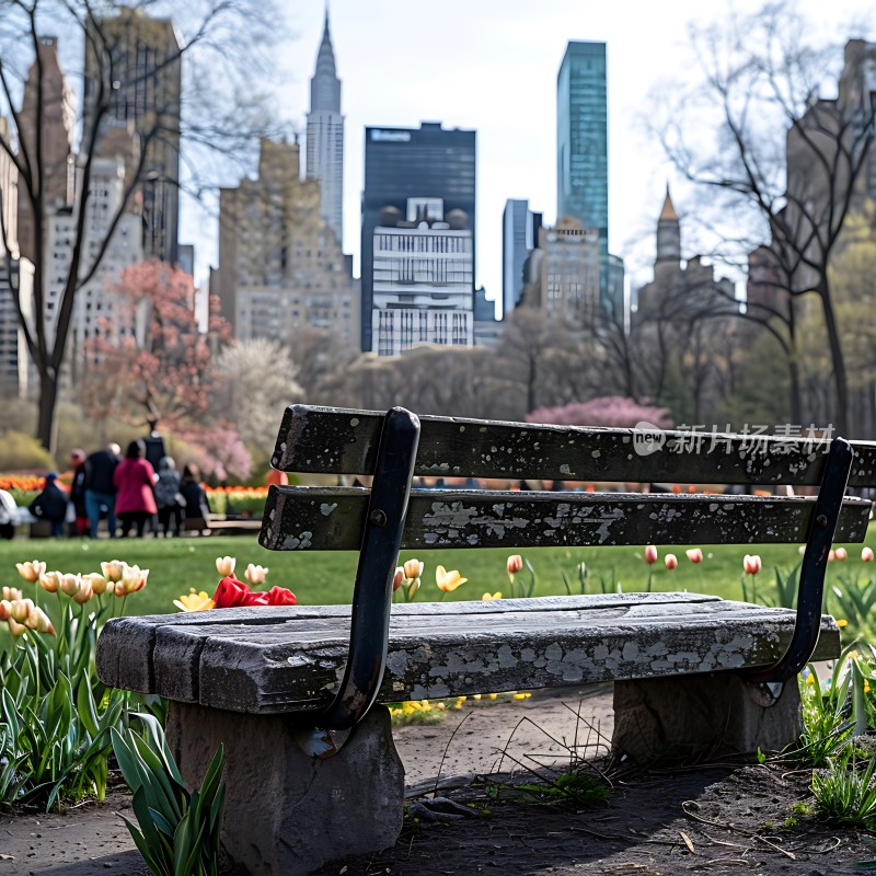城市公园春日美景