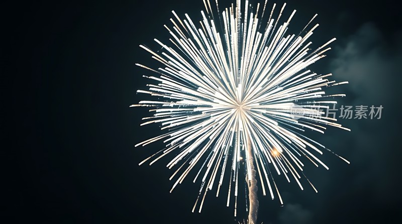 璀璨烟花绽放夜空