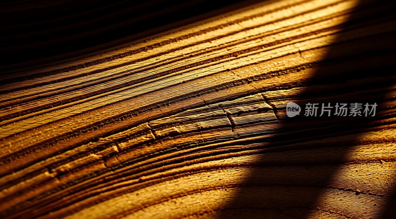 阳光下的木纹纹理