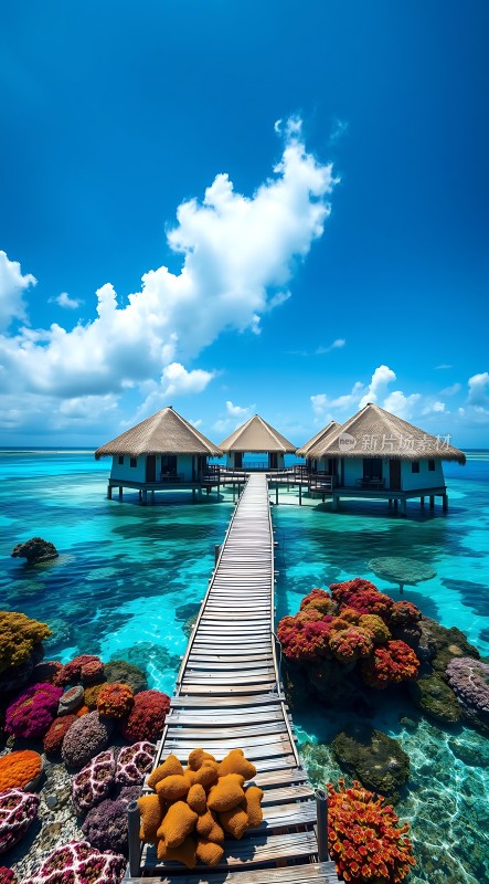 碧海蓝天下的水上木屋之旅