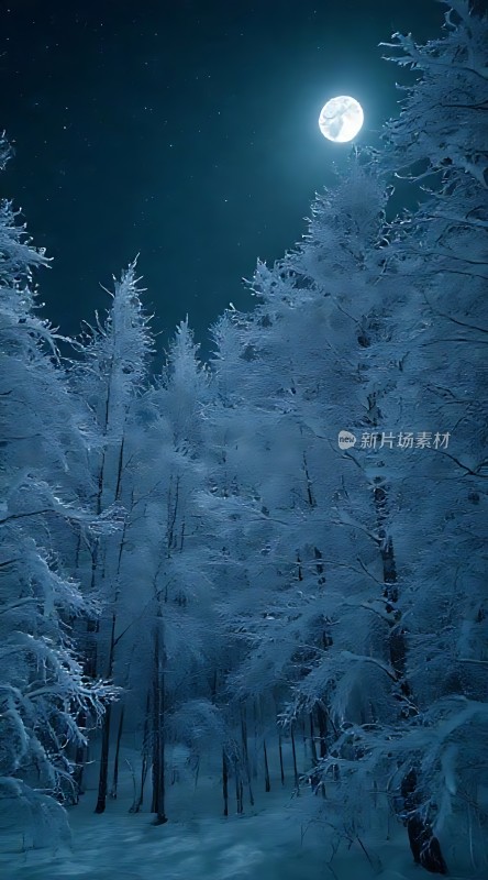 雪夜月下静谧森林