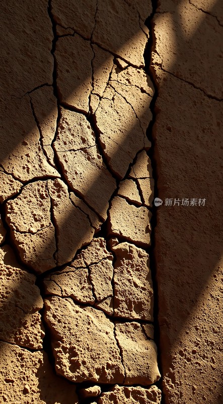 阳光下的干裂土地